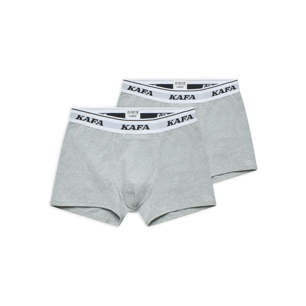 LOGO BLOCK BOXER V.2 (GREY/WHT)