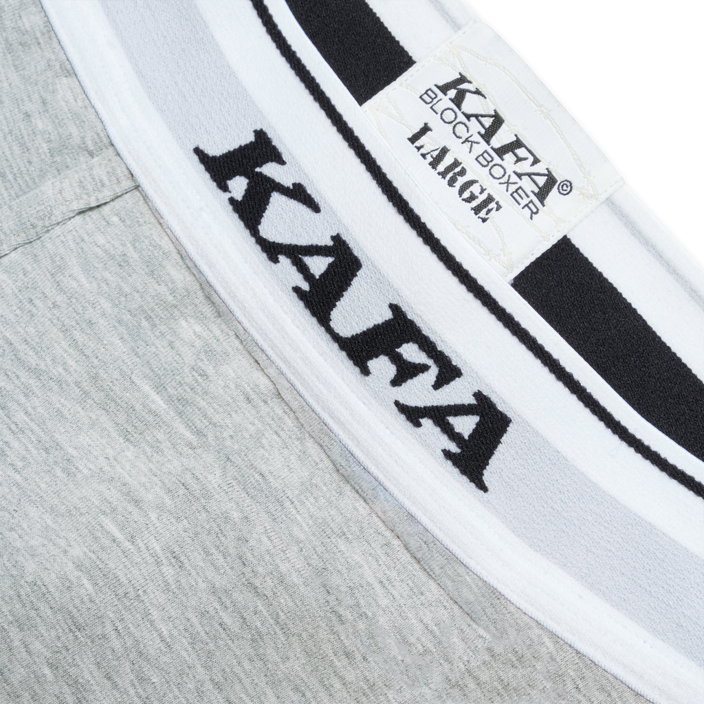 LOGO BLOCK BOXER V.2 (GREY/WHT)