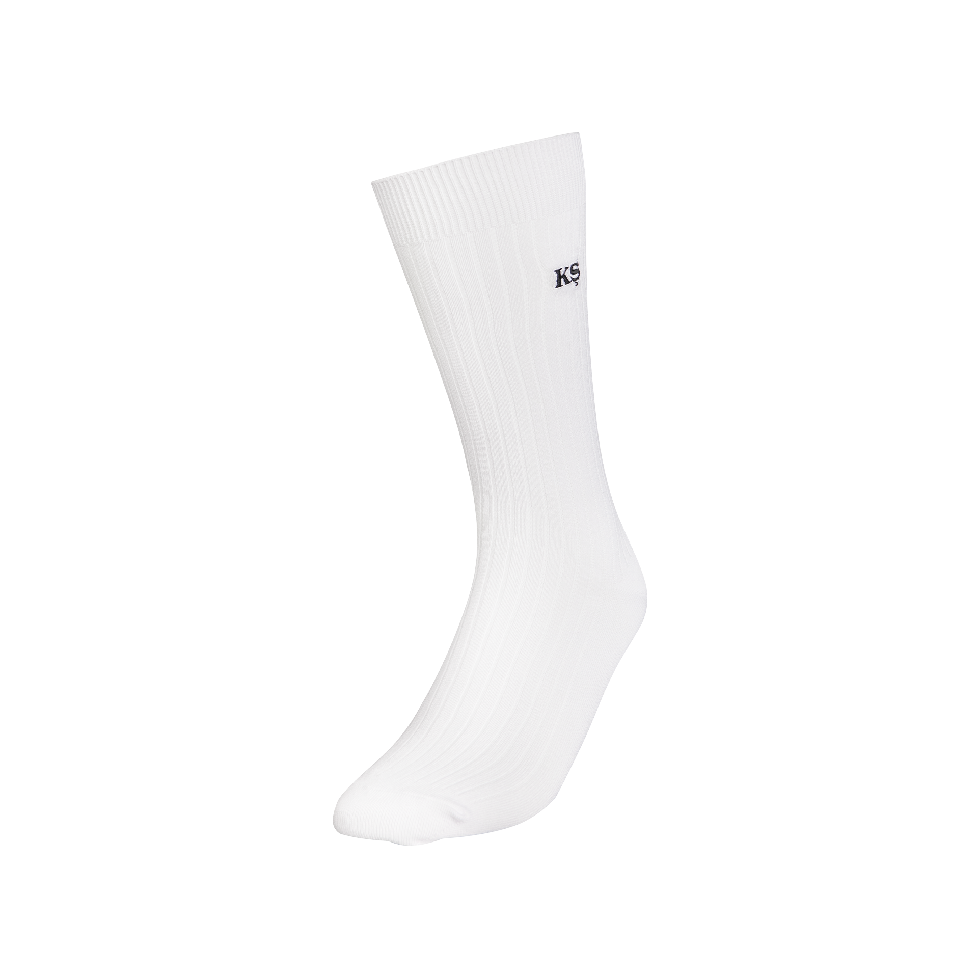 LOGO SOCKEN